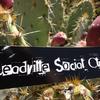 Leadville Social Club